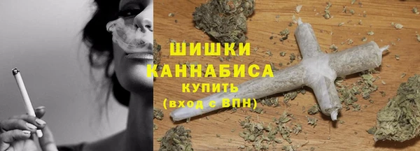 PSILOCYBIN Медвежьегорск