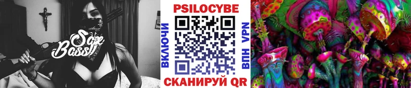 Галлюциногенные грибы MAGIC MUSHROOMS  продажа наркотиков  Хабаровск 