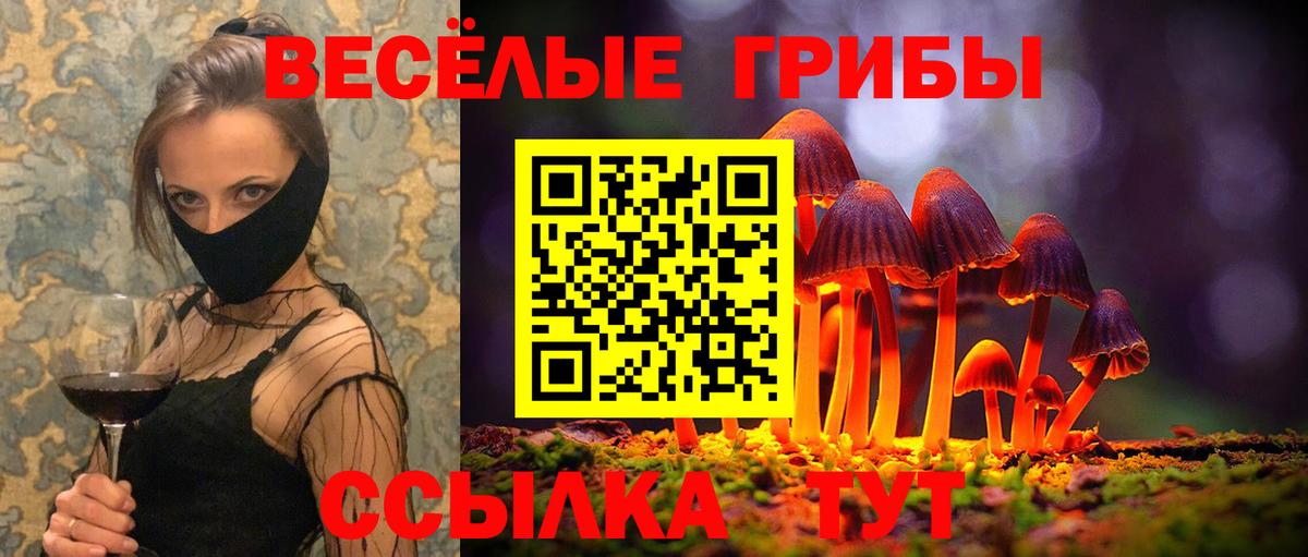 Галлюциногенные грибы мицелий  Галлюциногенные грибы Cubensis  Вход с VPN  Россия 
