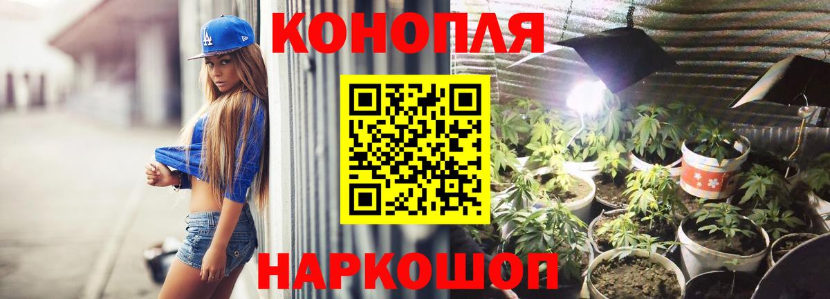 Марихуана план Россия